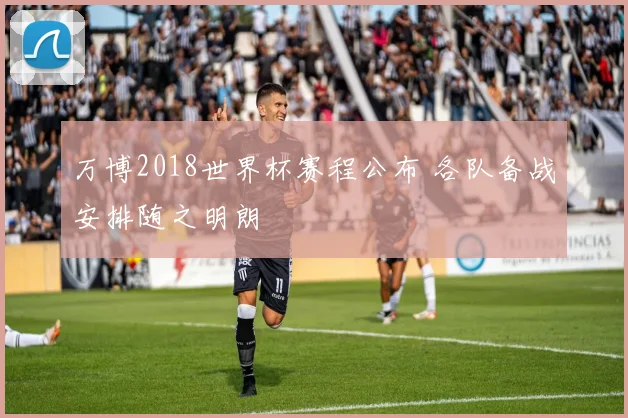 万博2018世界杯赛程公布 各队备战安排随之明朗