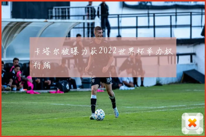卡塔尔被曝为获2022世界杯举办权行贿