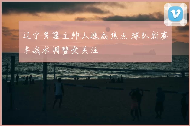 辽宁男篮主帅人选成焦点 球队新赛季战术调整受关注