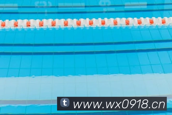 滚球官网appAPP 体育赛事宣传图